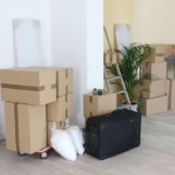 Move Out Clean Up